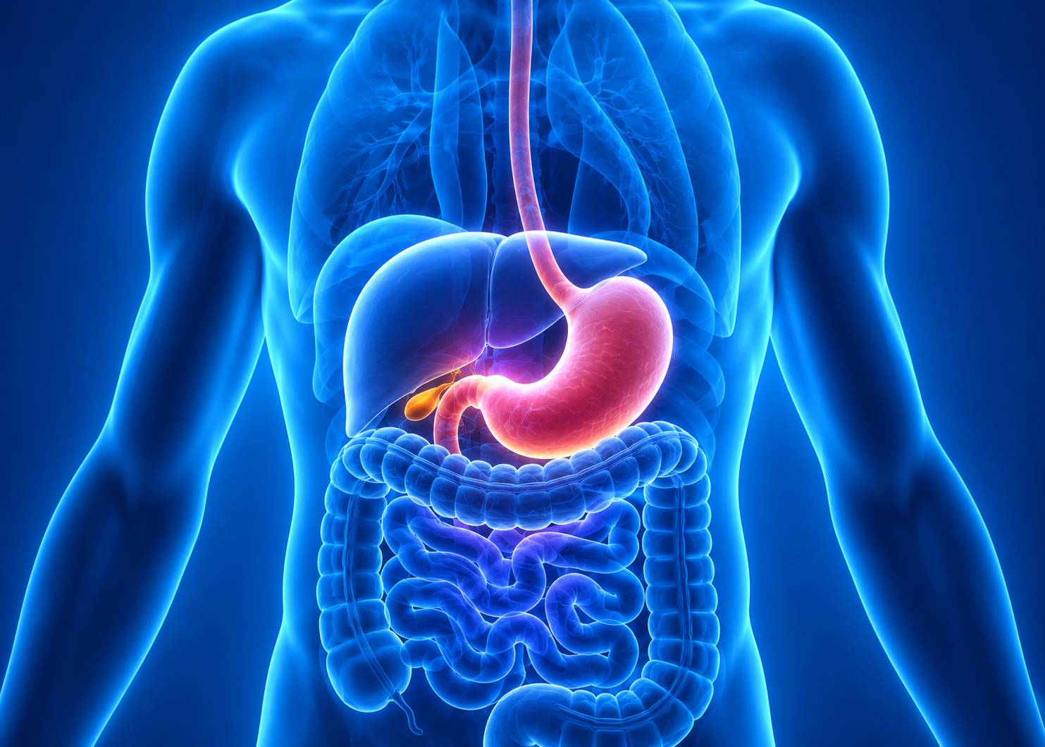Konsultan Gastroenterologi Hepatologi